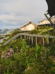 AZALEA - pemandangan pegunungan
