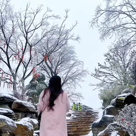 On the Hill (formerly Baling · Yonghu Manor, Dongting Lake China Panda Garden Branch)