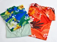 Spa Resort Hawaiians Hotels in Iwaki