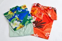 Spa Resort Hawaiians