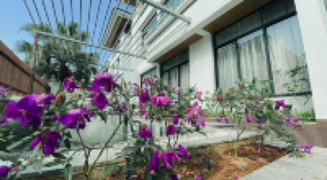 Phoenix Villas FLC Ha Long