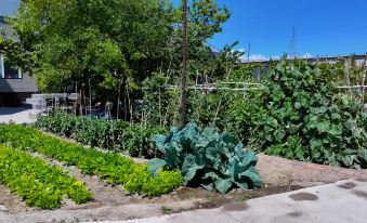 Guitianyuanju Courtyard Homestay
