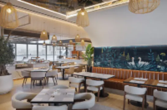 Hotel Local Dubai, Jumeirah Village Triangle, Autograph Collection