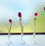 Onsen minshuku mikunien