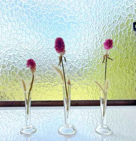 Onsen minshuku mikunien Отели в г. Сакаи