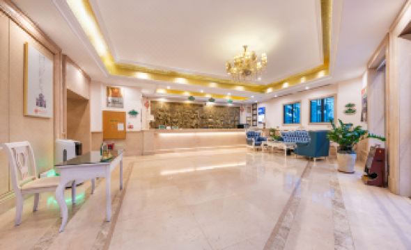Vienna Hotel (Foshan Shunde Longjiang furniture Material City store ))