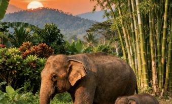 Xishuangbanna Jinghong Xichishangwan · Leisure Resort Hotel