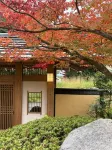 Koarashiyama Akizuki