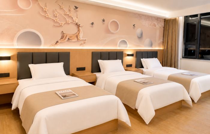 Nyima Xingyue Hotel