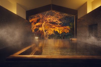 スパ・大浴場 星野リゾート 界 箱根の写真