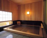 Hatori - Hot Springs