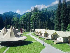 Wawu Mountain Panda Forest Breathing Camp