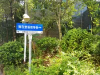 Noguchi Suites