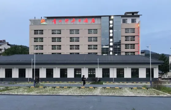 青川興平大酒店