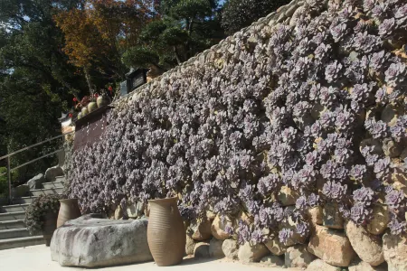 Mountain & Rain Homestay Отели рядом с достопримечательностью «Ruoliao Yuanshilin»