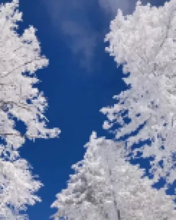 Beidahu Shengxu Ski Homestay