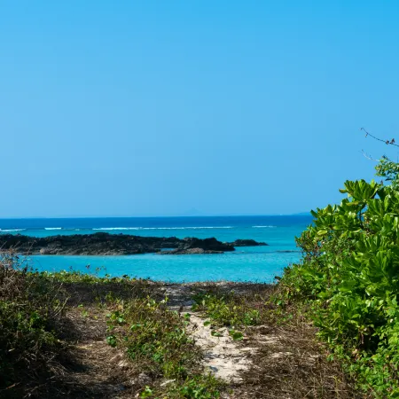 UMITO OKINAWA ONNASON