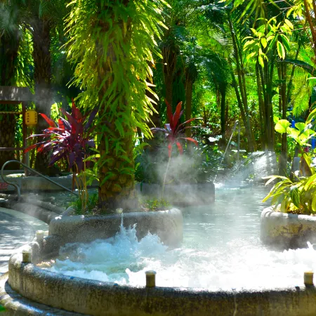 CLOUD NINE HOT SPRING WHISKEY HOTEL