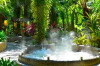 CLOUD NINE HOT SPRING WHISKEY HOTEL