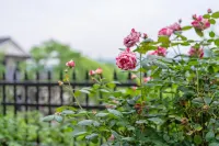 Anji happy villa hotel - Villas