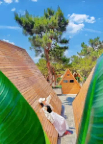 Linghai Shanye Zizai Boutique Camping Base