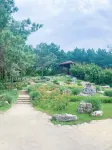하얼빈 선 아일랜드 호텔 - 뷰