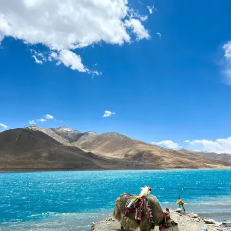 Atour Hotel Lhasa the Potala Palace Plaza Beijing Middle Road
