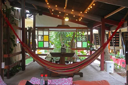 Lazy Dog Bed & Breakfast