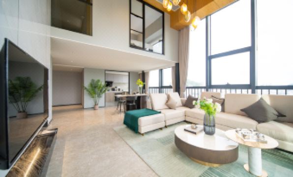 Ray International Apartment