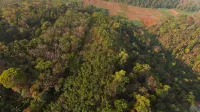 Entire Private Luxury Resort in Wayanad - Cinnamon Villa Wayanad Hotels in Mananthavady