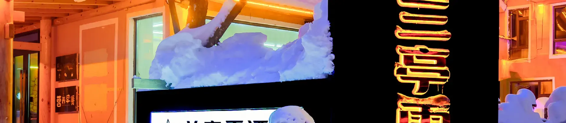 Ski Hotels