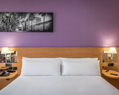 Hotel Jerez Centro Kamar Photos
