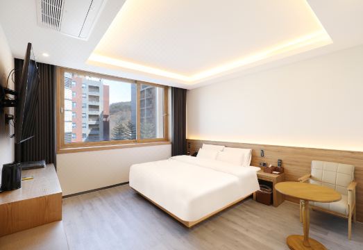 5. 브라운 도트 호..