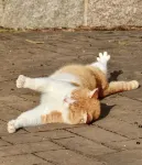 หลงจี จินเขิง ต้าจ้าย โฮสเทล