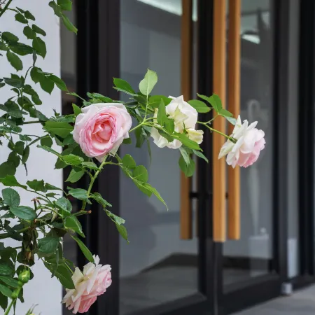 Qiyun Homestay, Laishui County