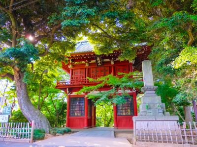 ホテル周辺 松戸グランドホテルの写真