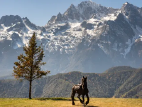 Lijiang Yulong Manshron Snow Highlands Villa Hotels near Baishuihe River