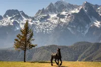 Eternal romance hotel Hotels near Shangri-La Tiger Leaping Gorge