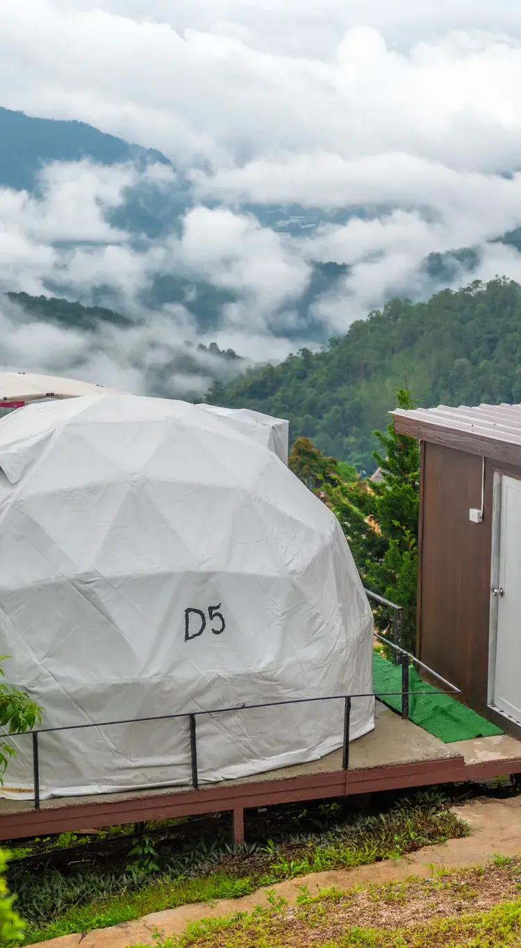 เต็นท์โดมขาว