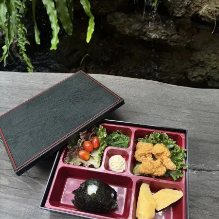 TOWA ONSEN AND RYOKAN
