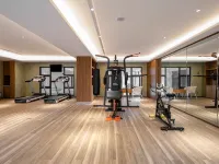 Vienna International Hotel (Baoting Center) - Gym