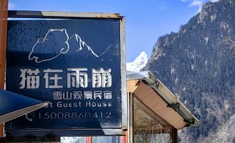 Cat in Yubeng Snow Mountain View Guesthouse