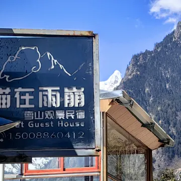 Cat in Yubeng Snow Mountain View Guesthouse