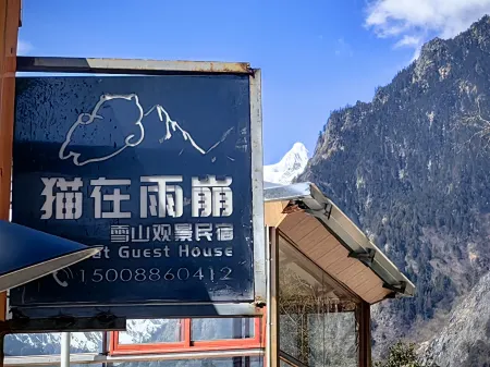 Cat in Yubeng Snow Mountain View Guesthouse