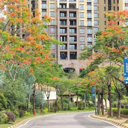 Huizhou Nankunshan Chuyi Designer Parent-child Theme Pool Hot Spring Villa
