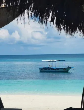 Avila's Horizon Dive Resort Malapascua Отели рядом с достопримечательностью «Логон Бич»