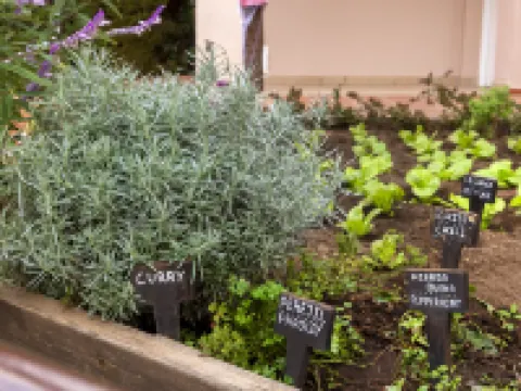 Los Amigos Beach Club Hotels in Mijas