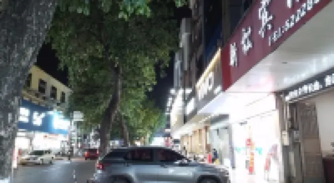 Beiliu Xinsong Hotel