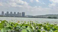 Mile Huquan Yipin Homestay (Huquan Ecological Park)