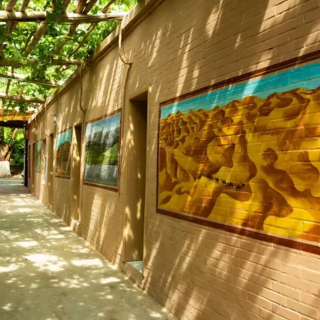 Homestay under the Grape Vine